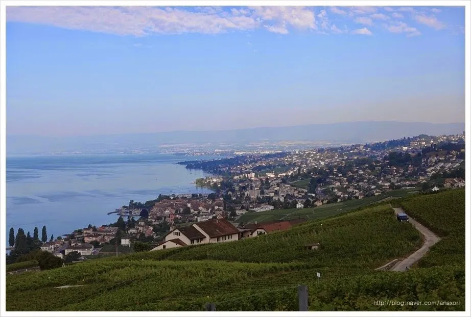 스위스 Terrasses de Lavaux trekking, 세상에서 제일 아름다운 포도밭