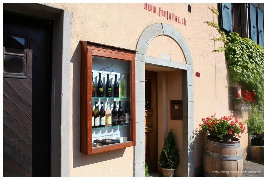 스위스 Terrasses de Lavaux trekking, 세상에서 제일 아름다운 포도밭