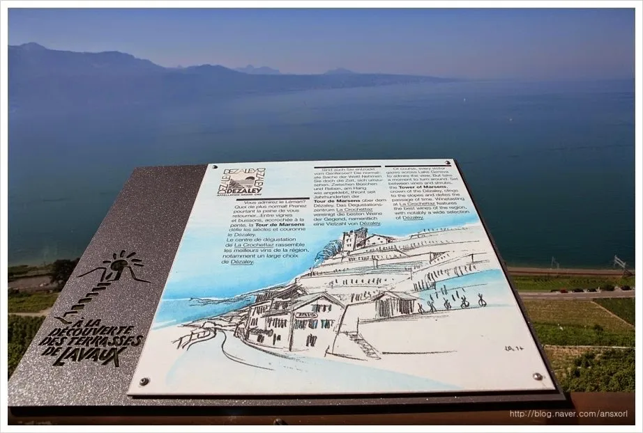 스위스 Terrasses de Lavaux trekking, 세상에서 제일 아름다운 포도밭