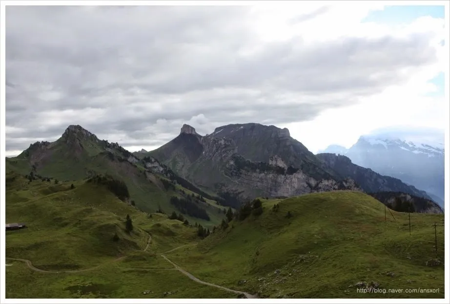 Schynige Platte-First(쉬니게플라테-피르스트) 트레킹