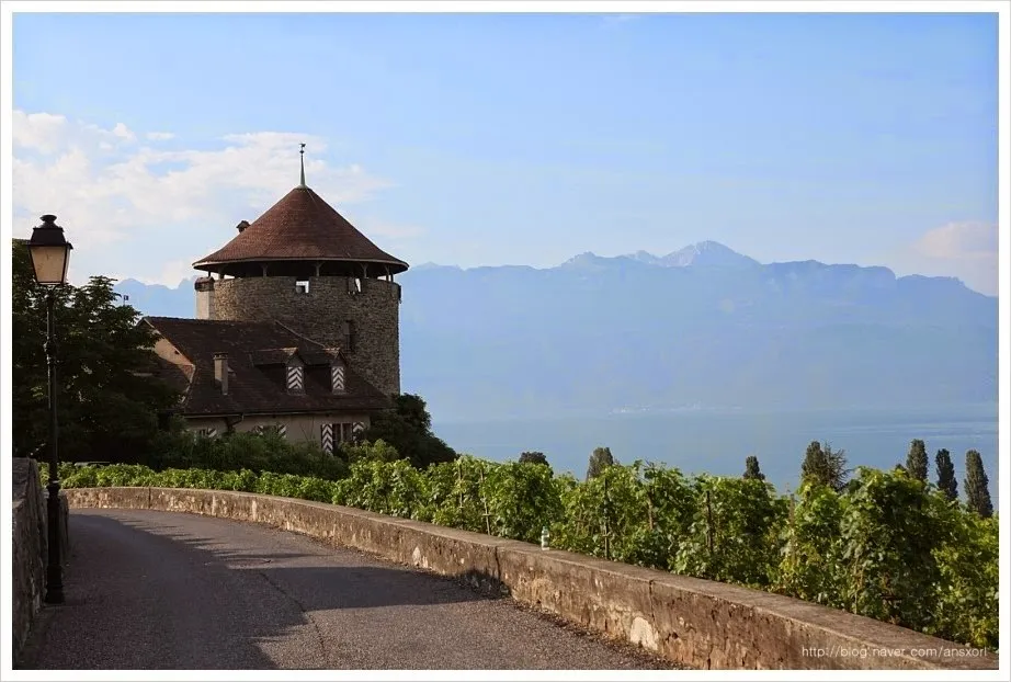 스위스 Terrasses de Lavaux trekking, 세상에서 제일 아름다운 포도밭
