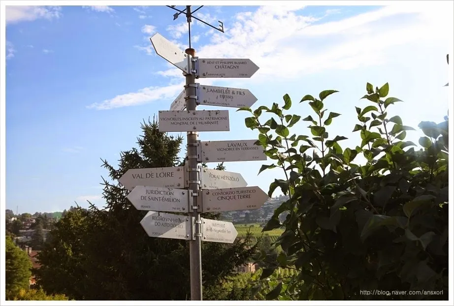 스위스 Terrasses de Lavaux trekking, 세상에서 제일 아름다운 포도밭
