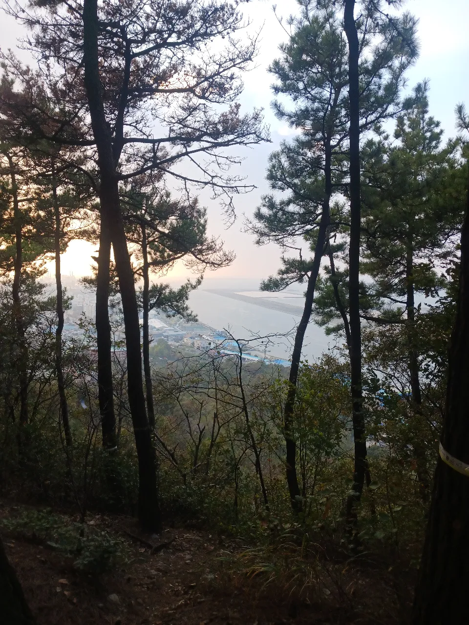 ph_1793345208142.jpg