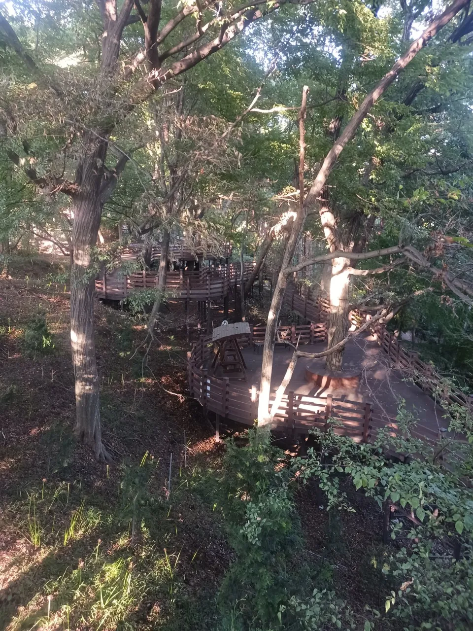 ph_1790926422301.jpg