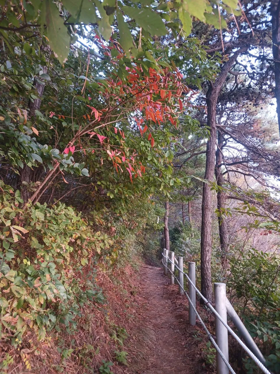 ph_1793345726772.jpg