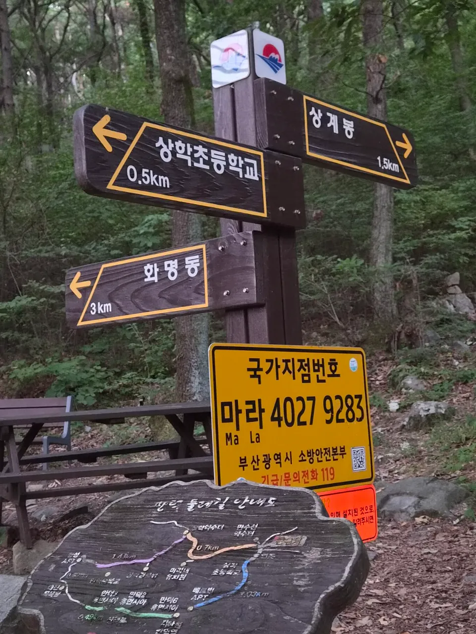 p00c_imp_1790208351704.jpg