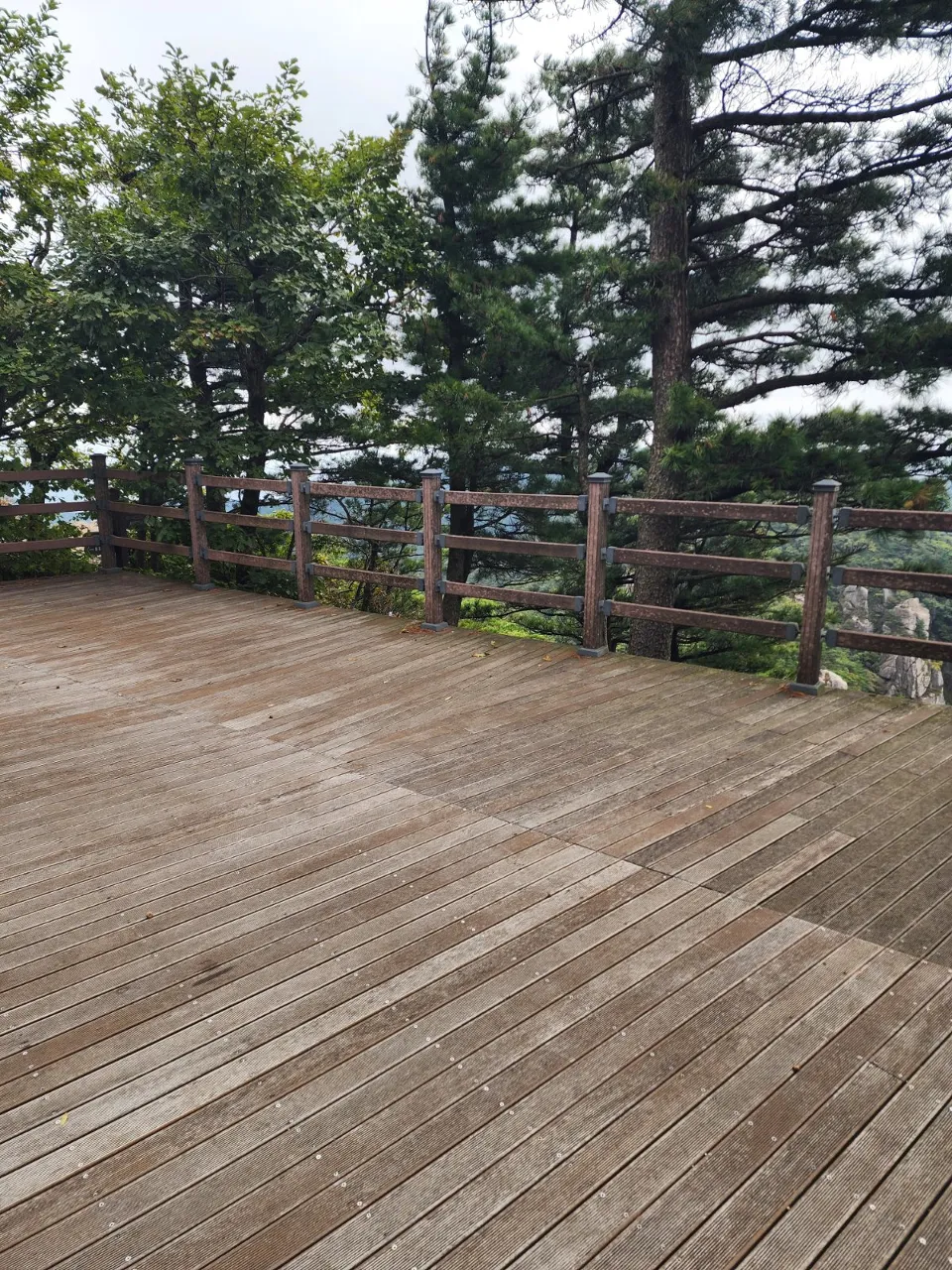 ph_1789778562019.jpg