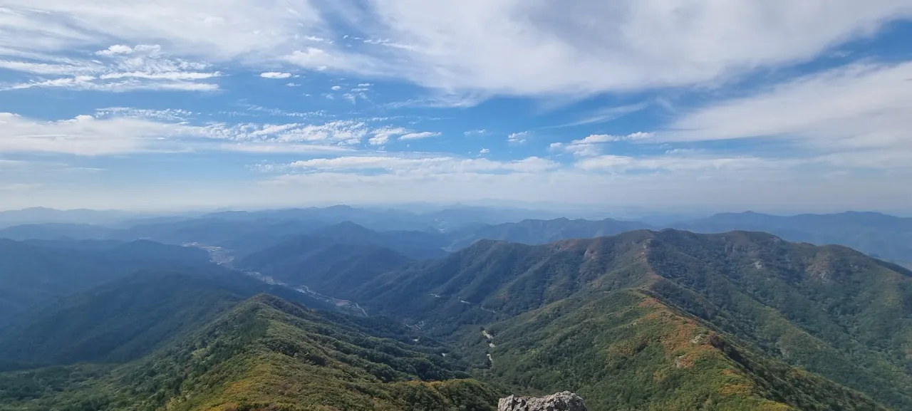 p04_imp_1791520165480.jpg