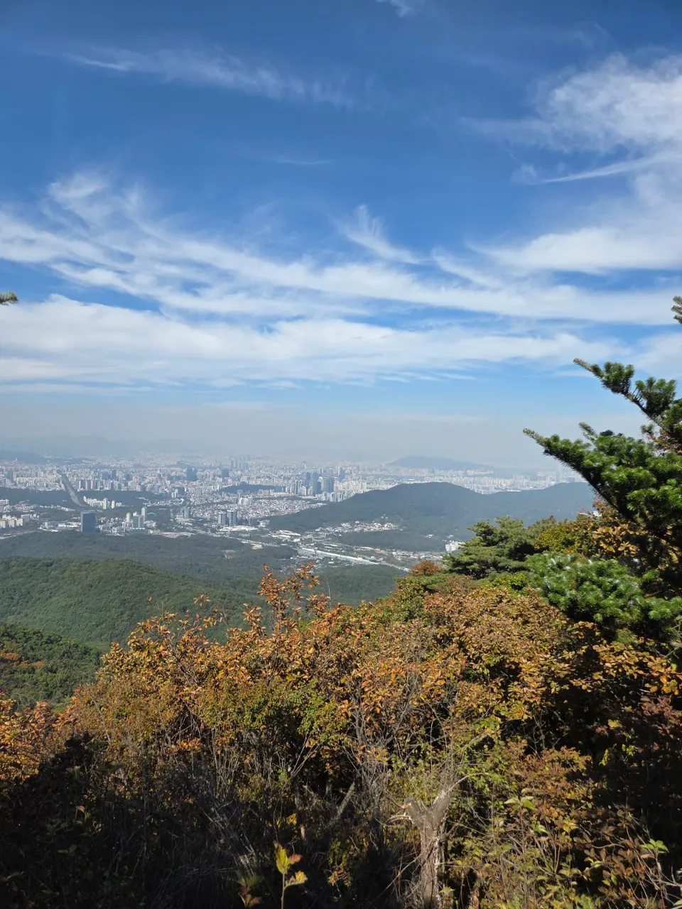 p00_imp_1791526082735.jpg