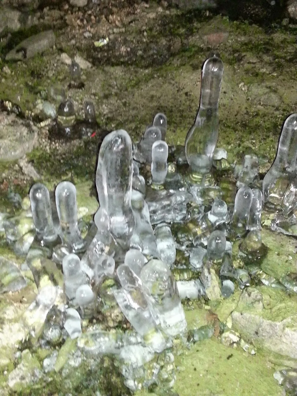 덕유산행