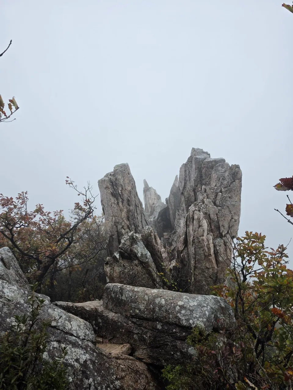 p02_imp_1792901231034.jpg