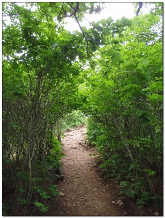 검단산