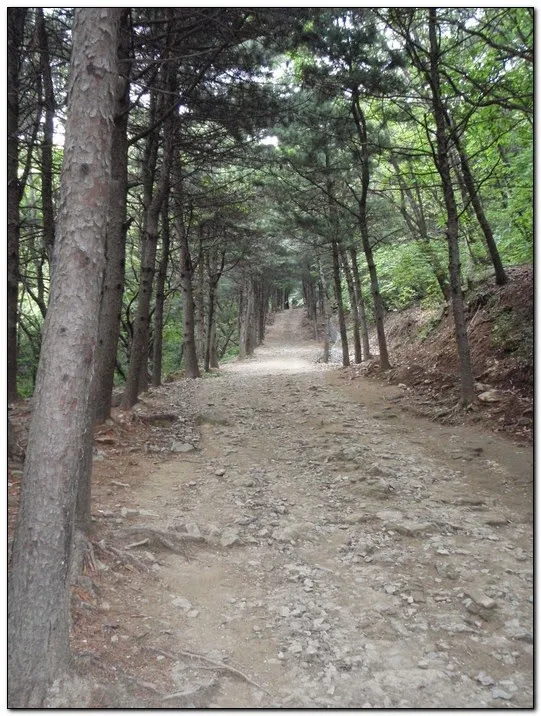 검단산