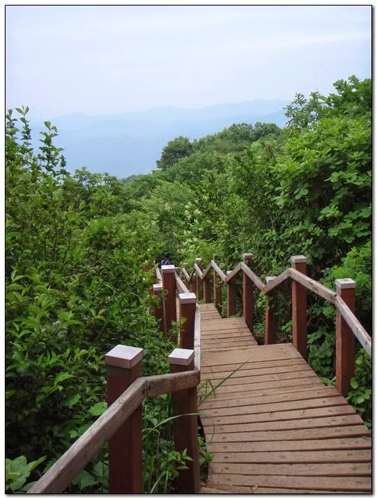 검단산