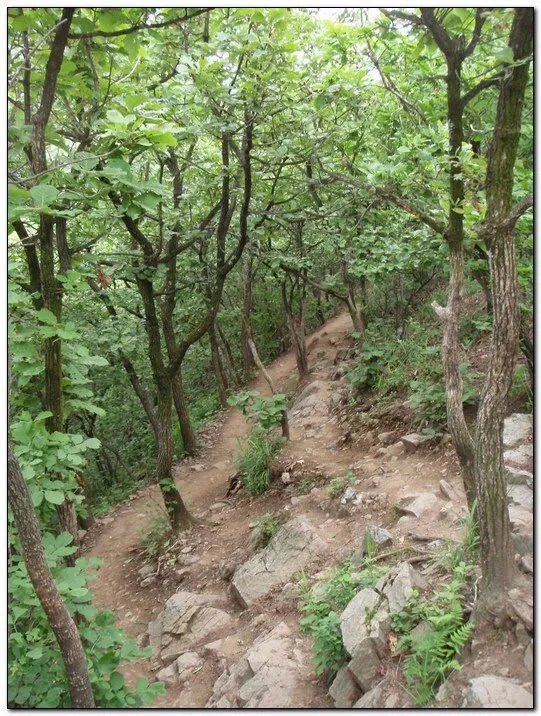 검단산