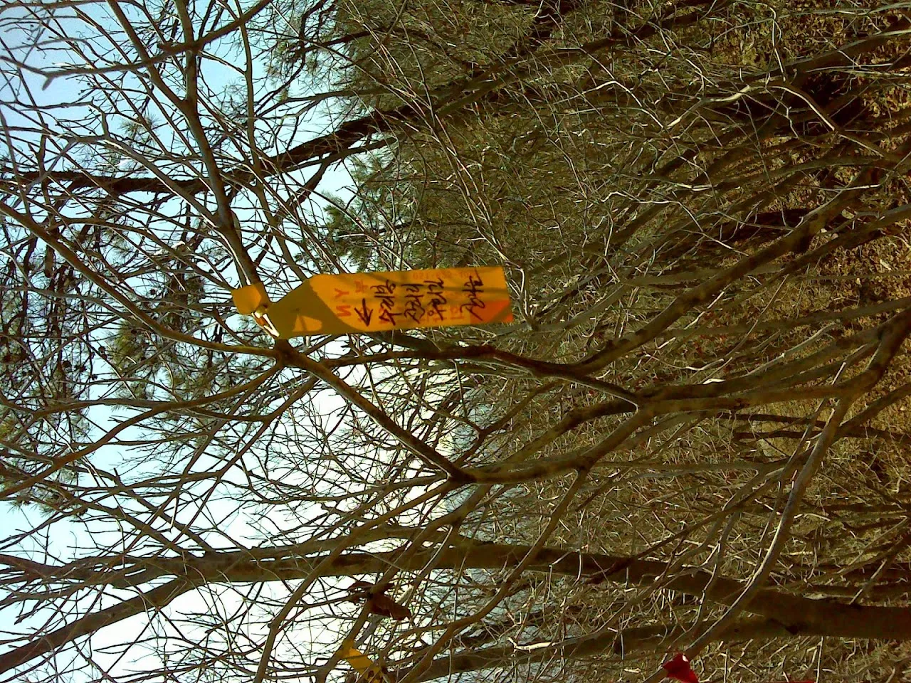 억산-운문산