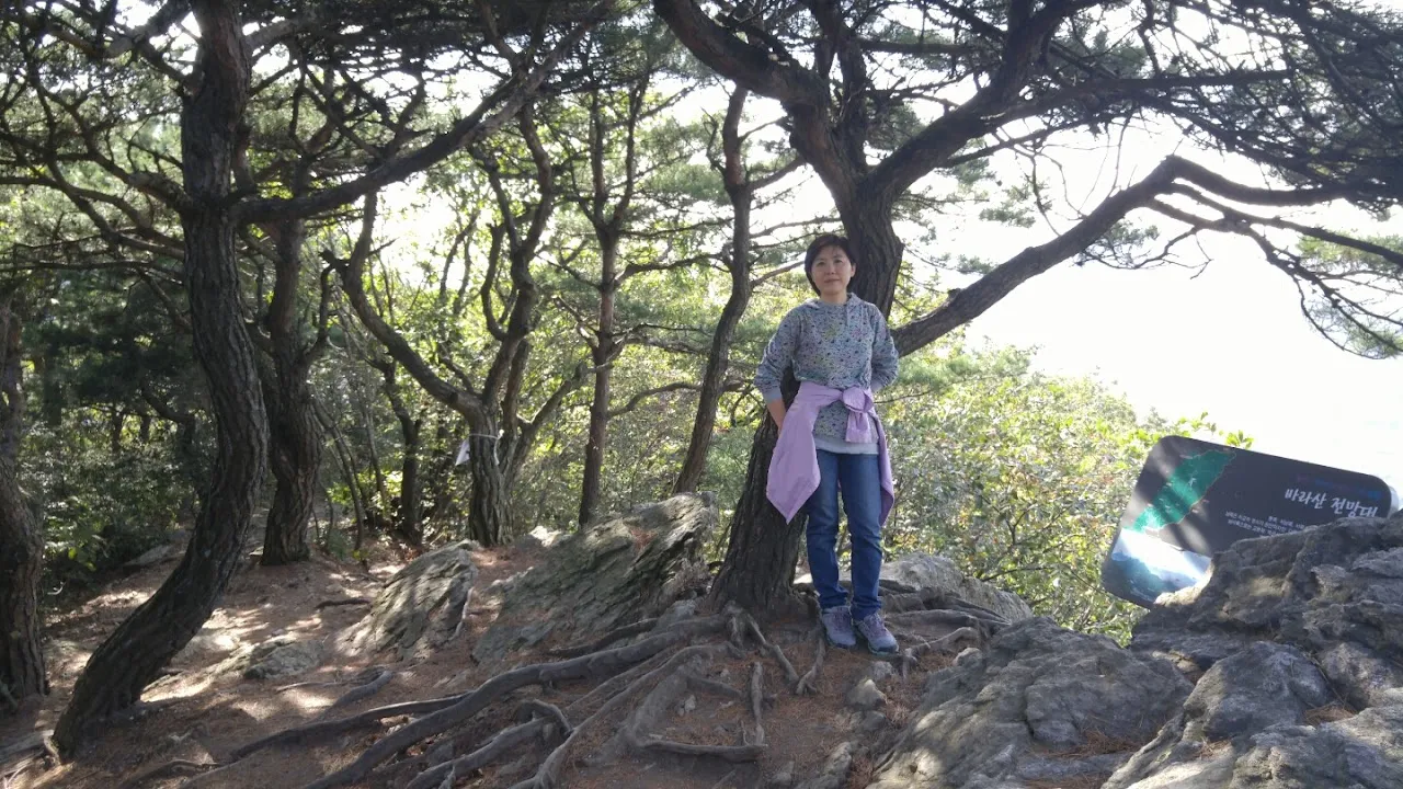 고기리산사랑~바라산~고기리산사랑