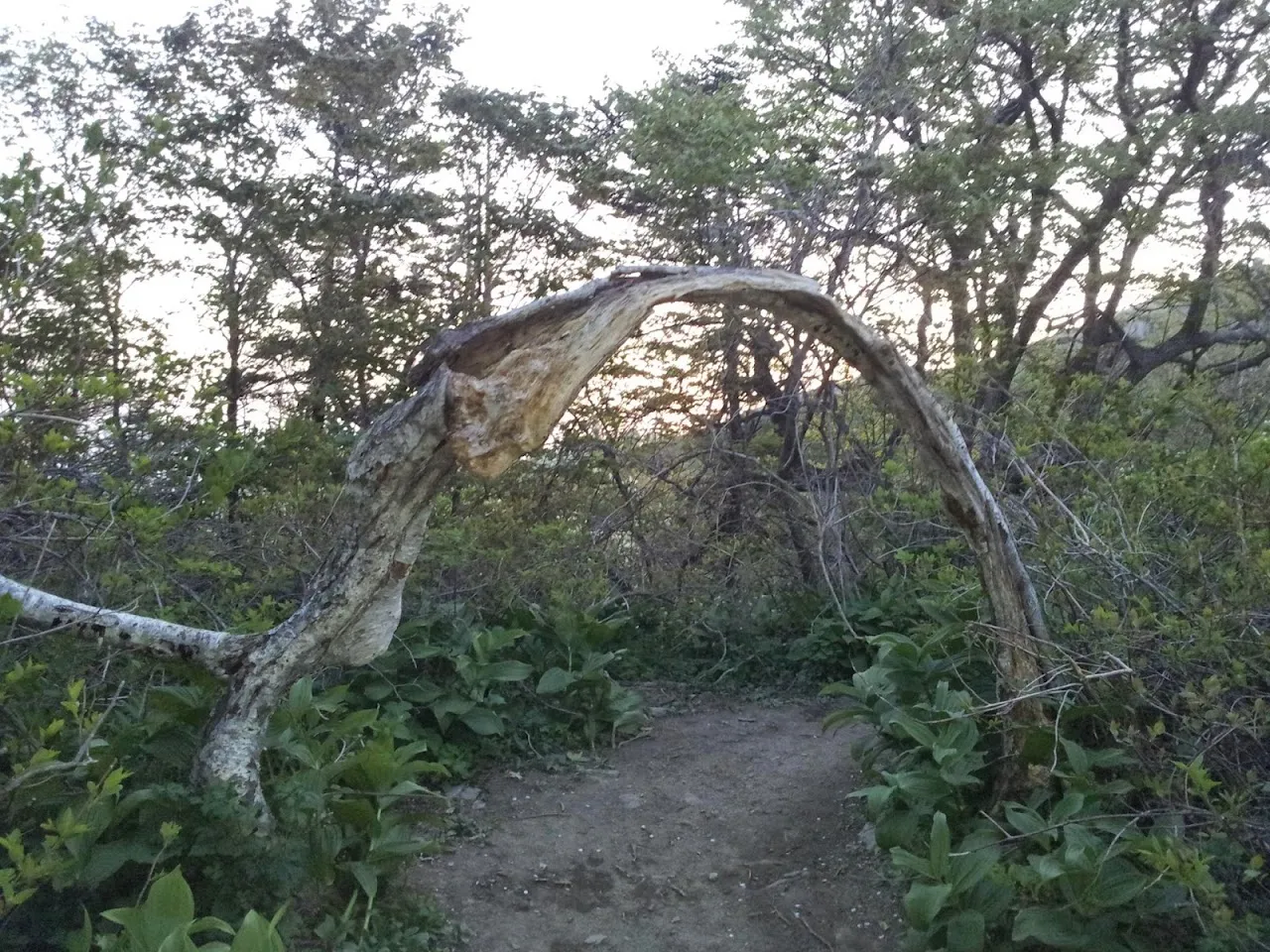 설악산 한계령-공룡능선-비선대