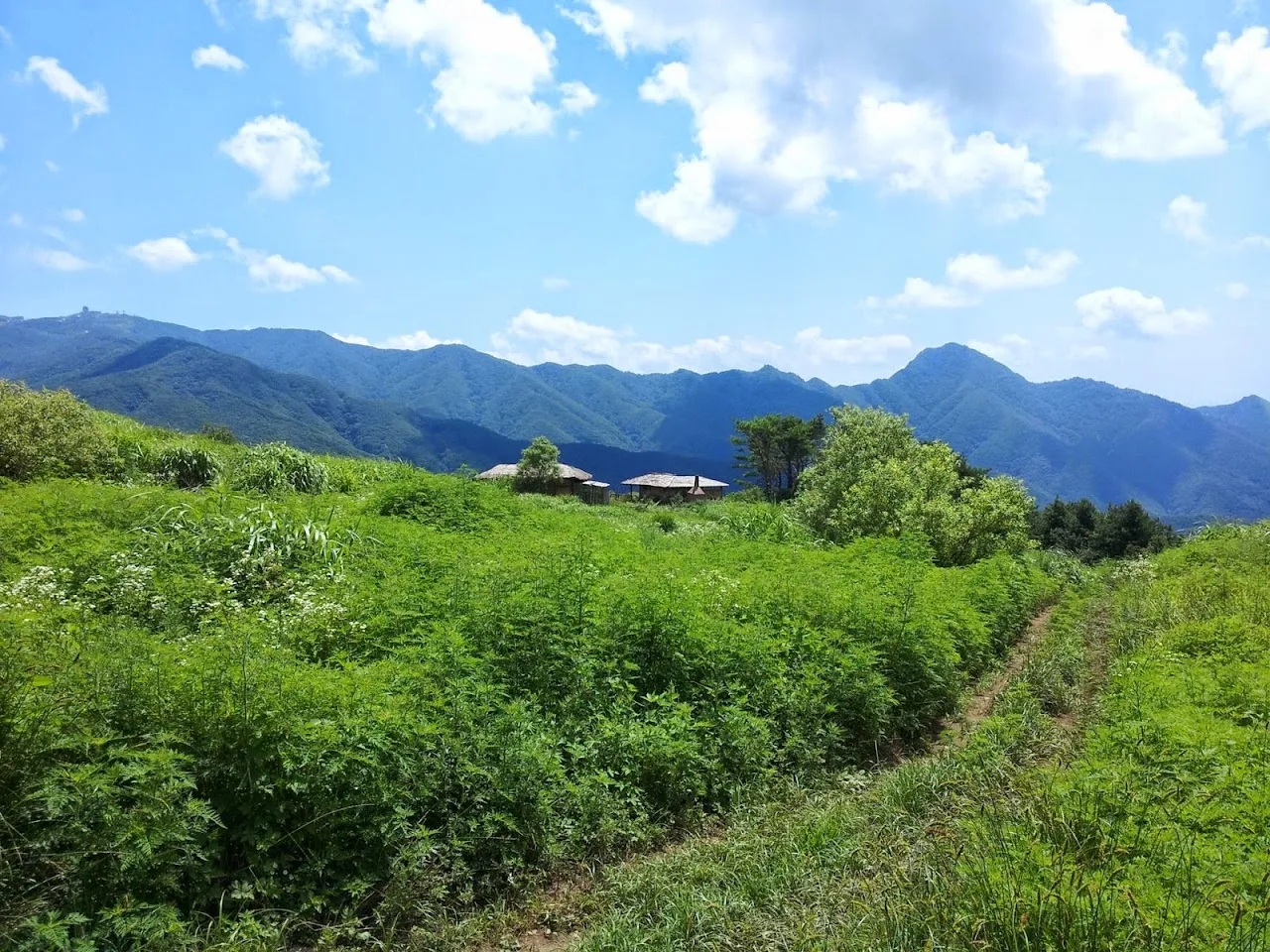 유명산-용문산백운봉