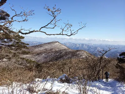 태백산 유일사코스 사용자 사진 5