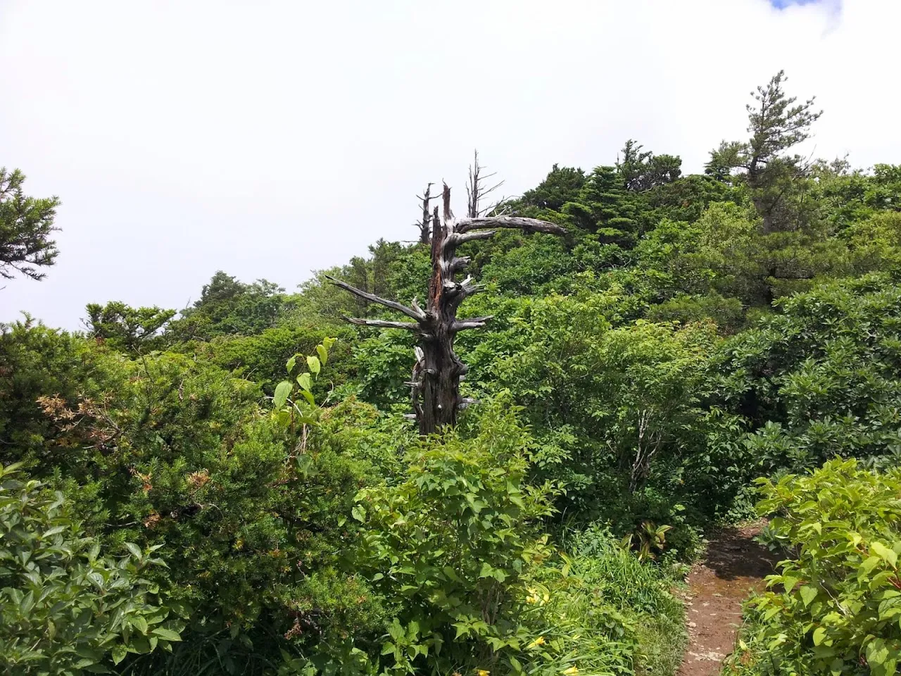 덕유산 육구종주