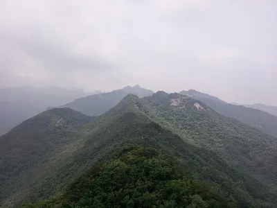 계룡산 동학사코스 사용자 사진 3