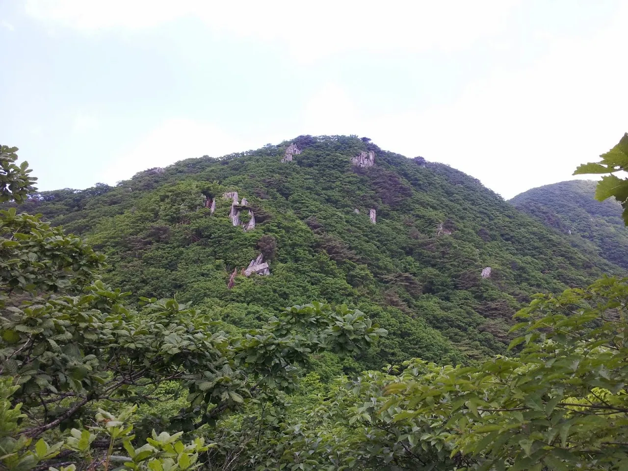 팔공산 한티재-비로봉-염불봉기점-동화사