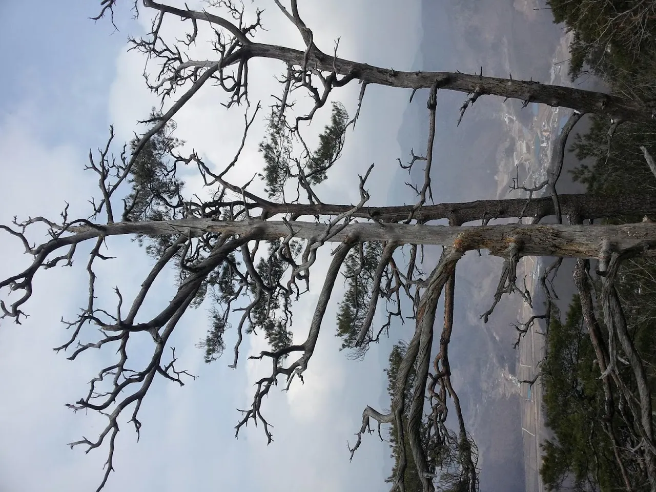 조령산(절골-촛대바위-조령산-신선암봉-절골)