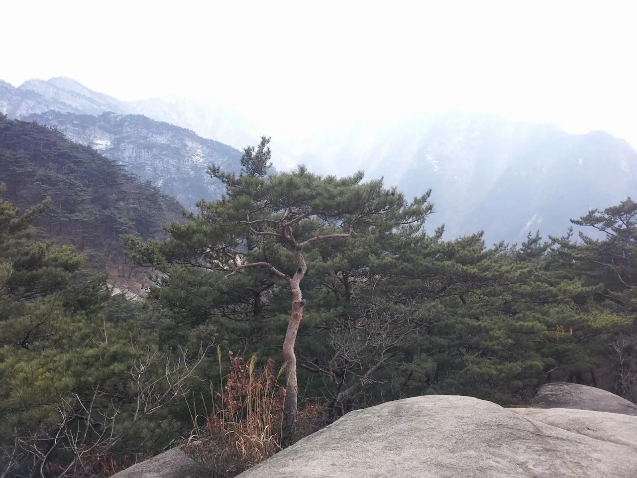 조령산(절골-촛대바위-조령산-신선암봉-절골)