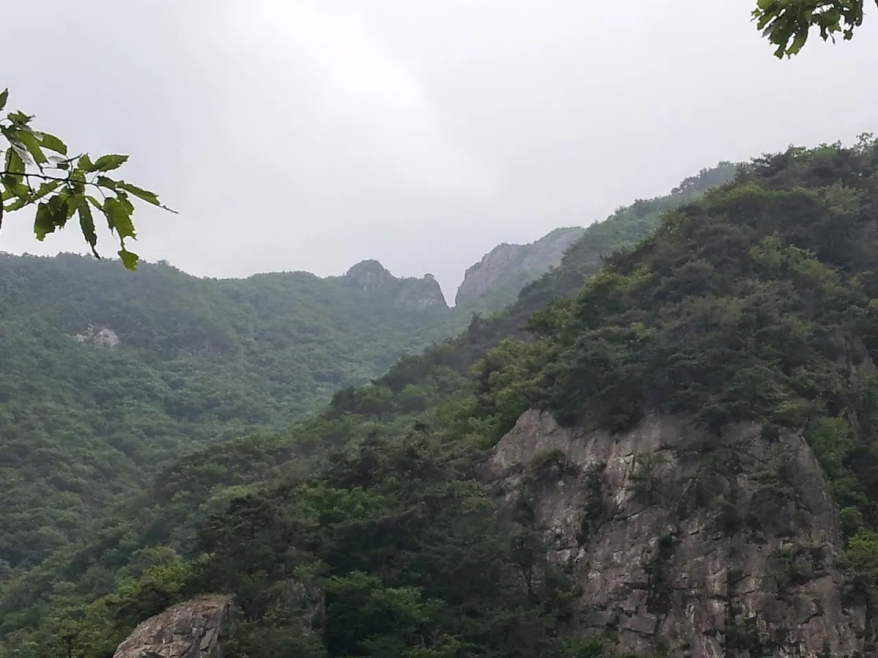 계룡산 장군봉-삼불봉-관음봉-동학사