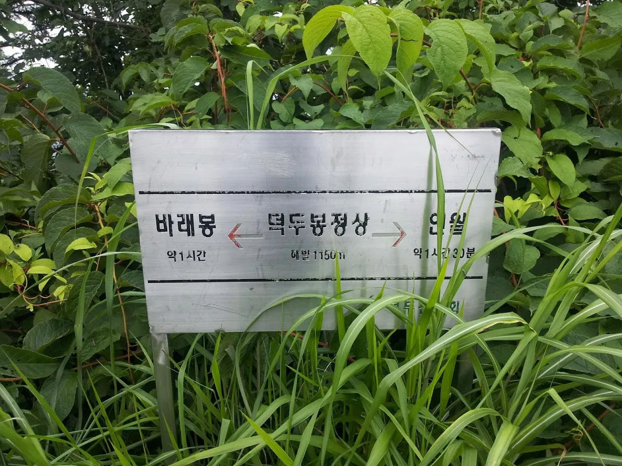 지리산 서북능선(성삼재-바래봉)
