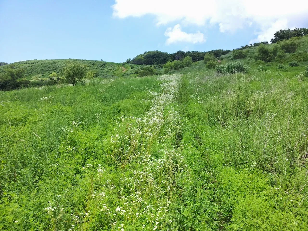 유명산-용문산백운봉