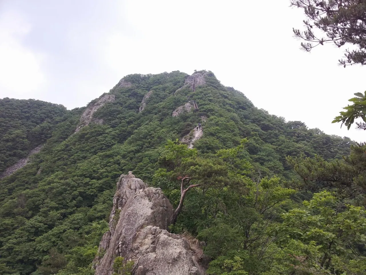계룡산 장군봉-삼불봉-관음봉-동학사