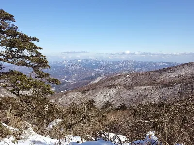 태백산 유일사코스 사용자 사진 4