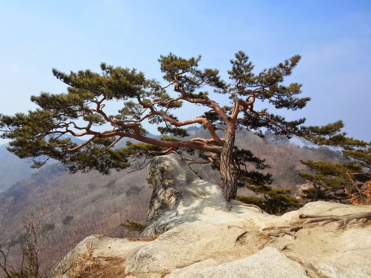 춘천의 용화산