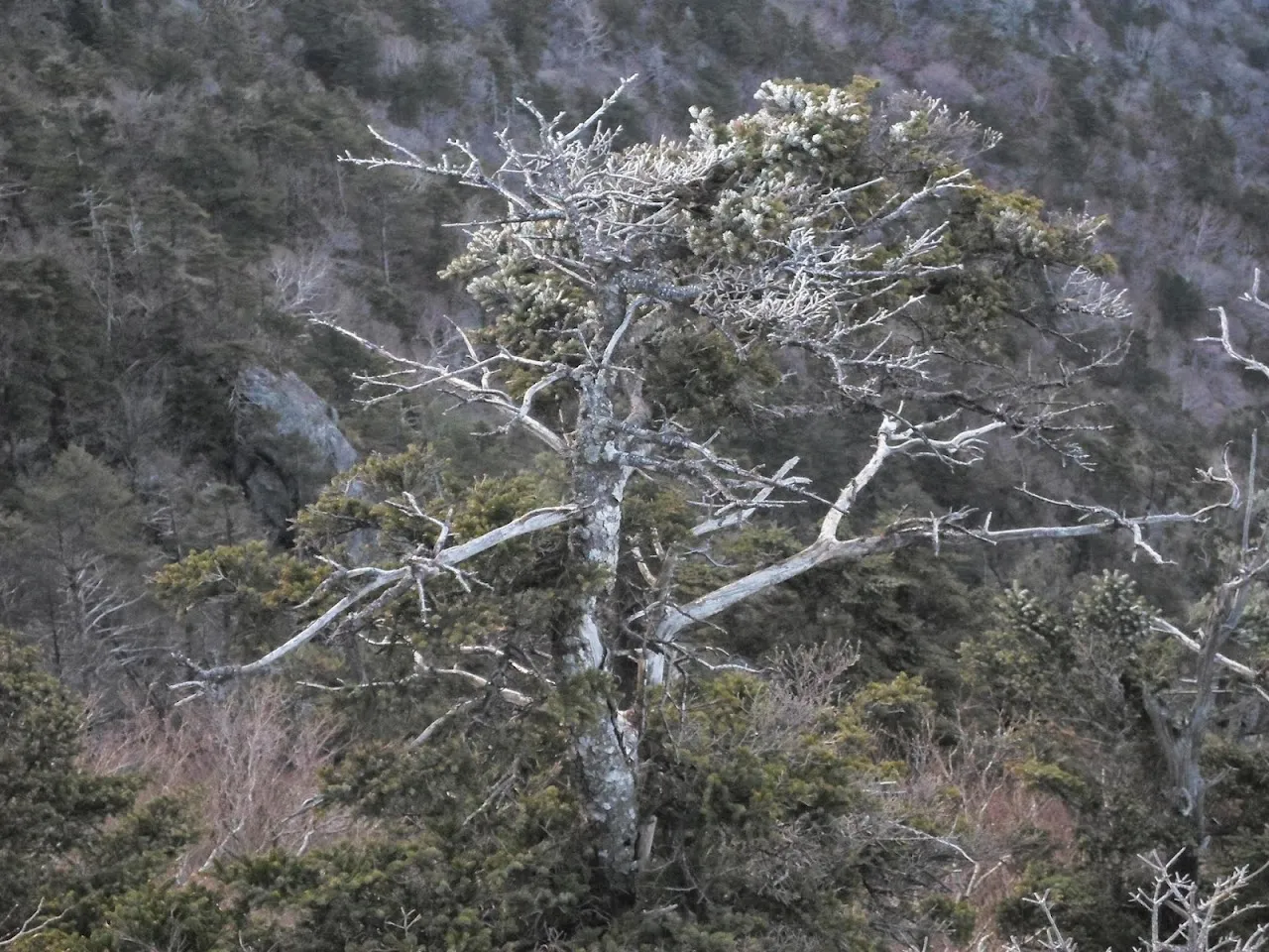 지리산종주