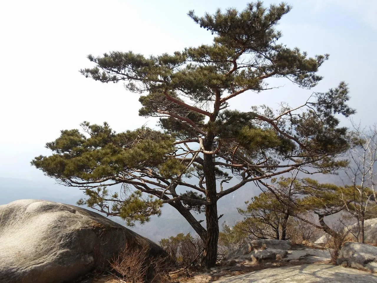 춘천의 용화산
