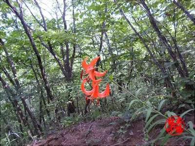 백운산 광덕고개코스 사용자 사진 6