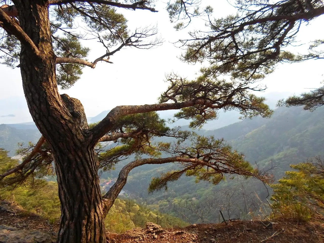 내변산