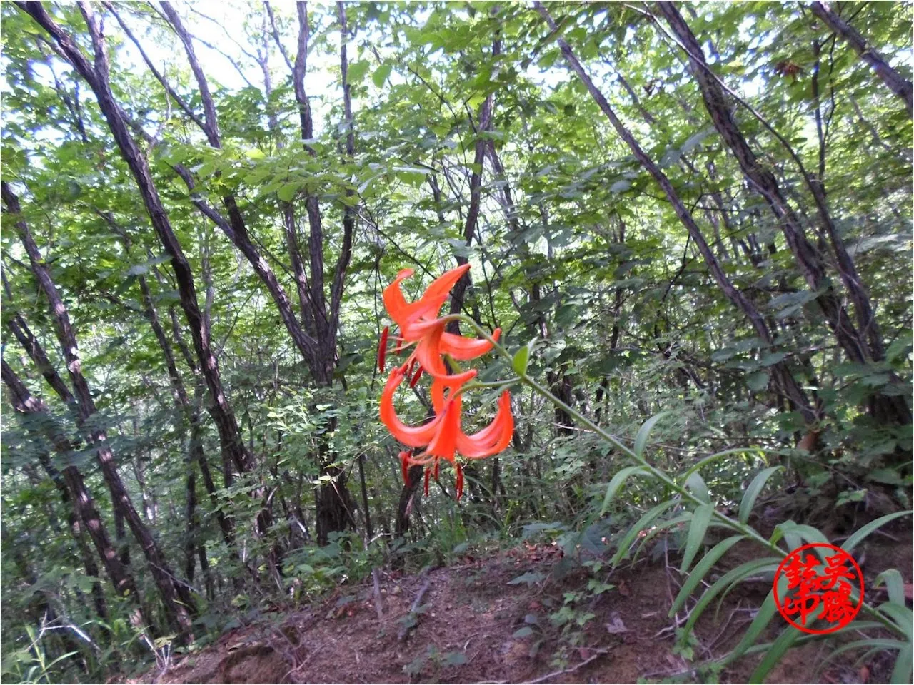 포천 백운산
