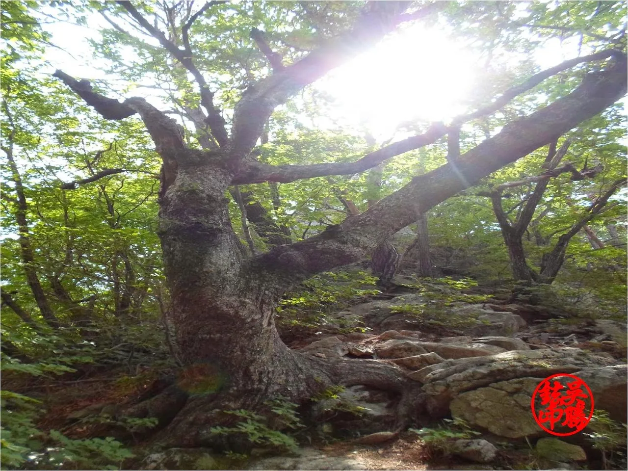포천 백운산