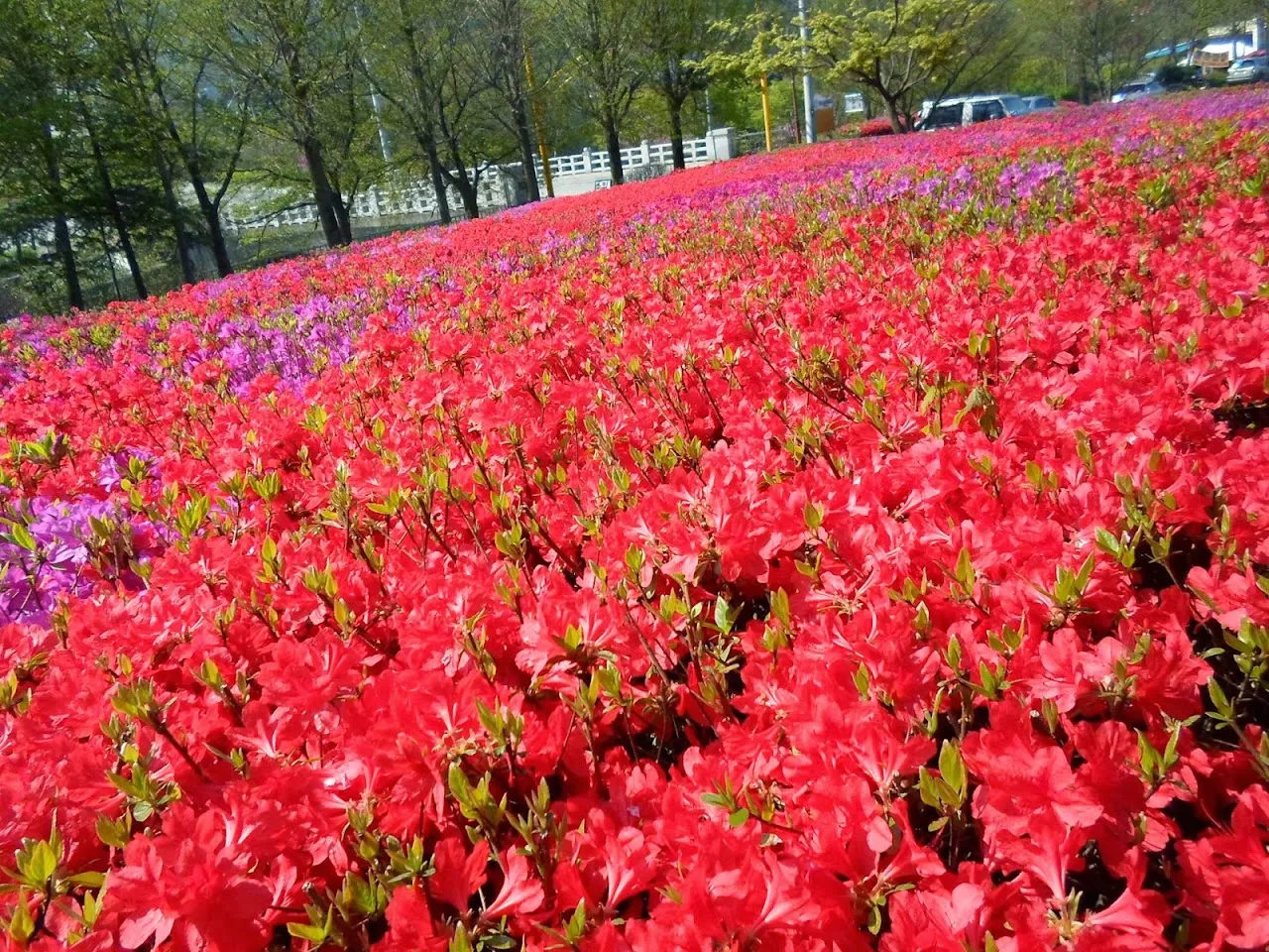 모악산