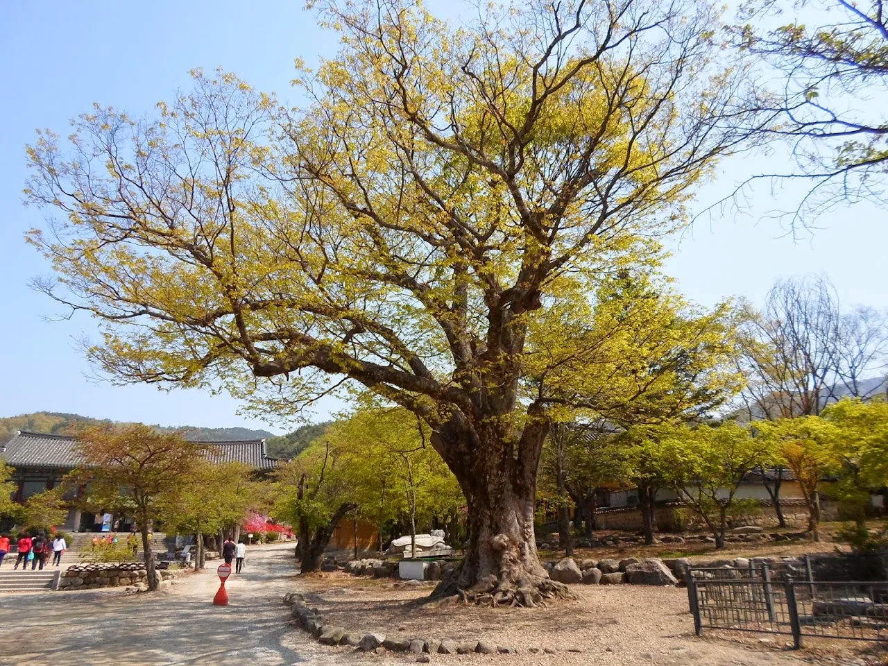 모악산