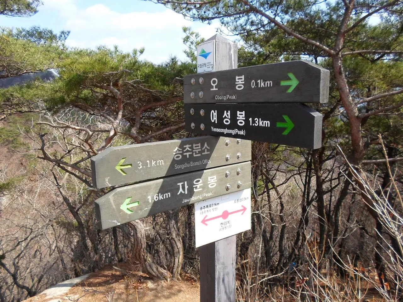 여성봉오봉 봄소풍(?)