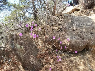 가야산 해인사 토신골코스 사용자 사진 3