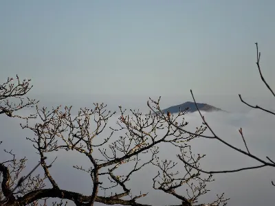 지리산 노고단코스 사용자 사진 9
