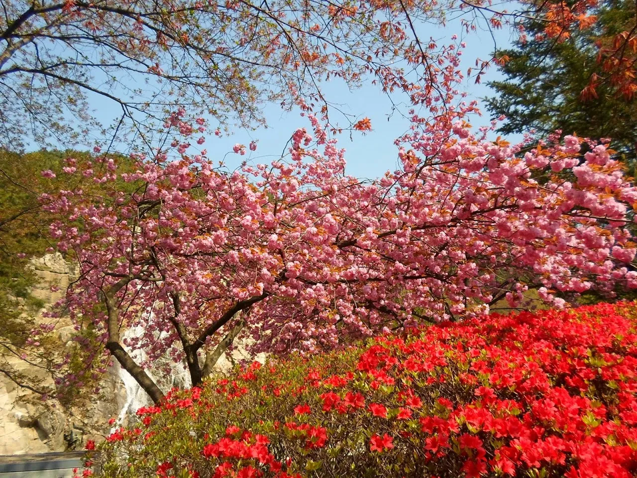 모악산