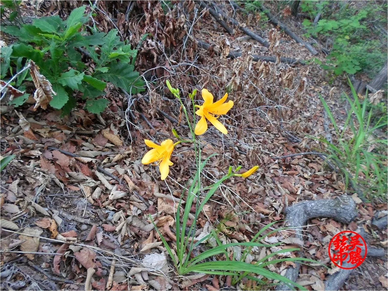 포천 백운산