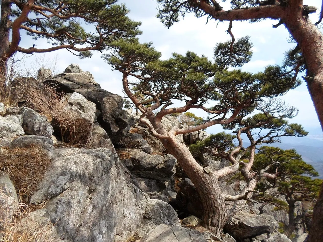 가야산 해인사
