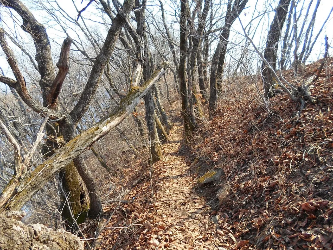 춘천의 용화산